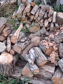 Legna di quercia