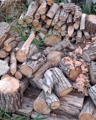 Legna di quercia