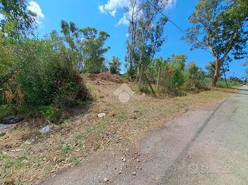TER. AGRICOLO A LATINA