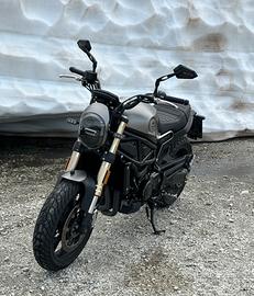 Benelli leoncino 800