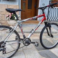 bicicletta da uomo