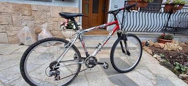 bicicletta da uomo