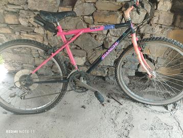 Mountain bike