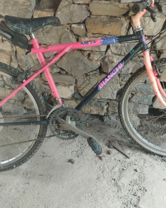 Mountain bike