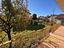 Immagine 19