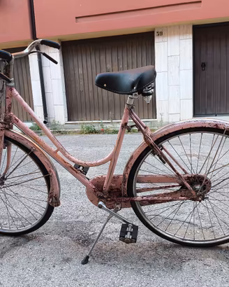 Bicicletta da donna ruote da 26 