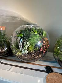 Terrarium artigianale