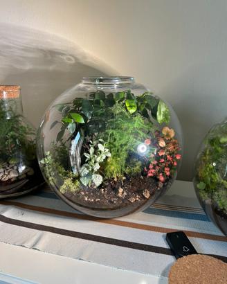 Terrarium artigianale