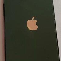 iPhone 13 256GB Green 🔋100% NO ERRORI ✨ Grado A++