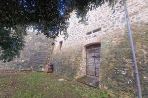 Indipendente a Todi
