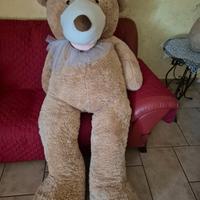 Peluche orso gigante 
