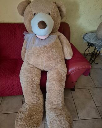 Peluche orso gigante 