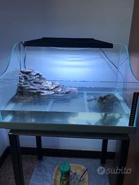 Acquario