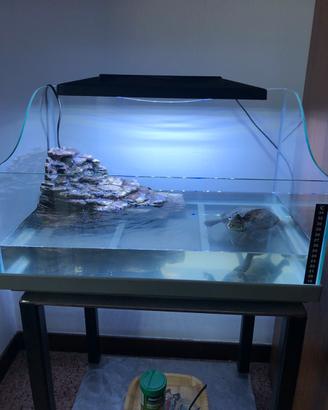 Acquario