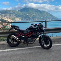 Benelli BN 125
