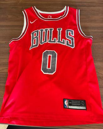 Canotta chicago bulls coby white