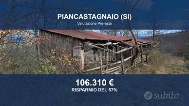 Immobile in asta di 1048270 m² a Piancastagnaio
