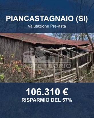 Immobile in asta di 1048270 m² a Piancastagnaio