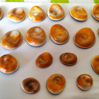 Occhi di Santa Lucia