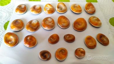 Occhi di Santa Lucia