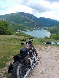 HARLEY DAVIDSON 1200 RAT