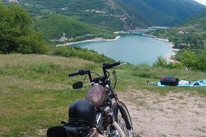 HARLEY DAVIDSON 1200 RAT