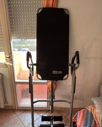 Panca inversa professionale