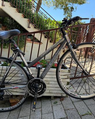 Bike Bottecchia telaio taglia 48