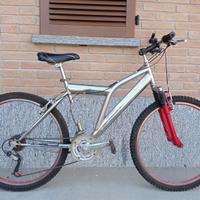 Bicicletta MTB