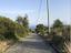 Immagine 7