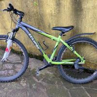 Bicicletta mountain bike ruota 26