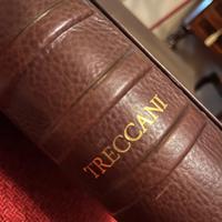 LIBRO TRECCANI