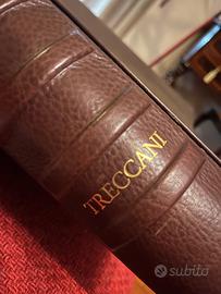 LIBRO TRECCANI