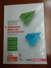 Libro Chimica  Molecole in movimento 1