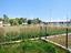 Immagine 28