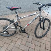 bicicletta in alluminio 24