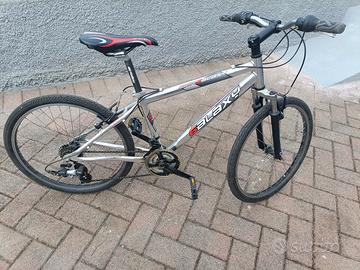 bicicletta in alluminio 24