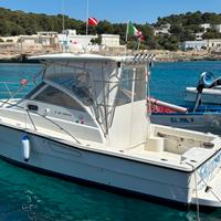 Barca 3B Craft T 25 Open