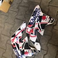 Fianchetti SUZUKI rm-z 250 2008