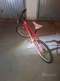 Mountain bike 24
