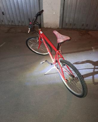 Mountain bike 24