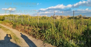 Terreno Agricolo Zona Tre Fontane