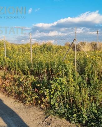 Terreno Agricolo Zona Tre Fontane