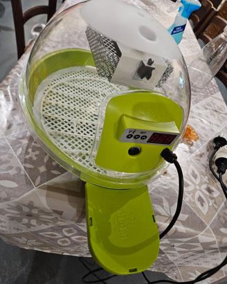 incubatrice fiem 24 uova