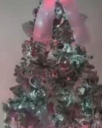 albero di natale 