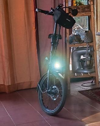 Bici elettrica Fiido D4S