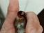 Immagine 3