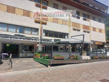 Pub a Peio Fonti - Posizione Strategica