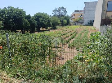 TER. AGRICOLO A CASSANO DELLE MURGE