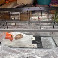 Gabbia ferplast Gabry 80